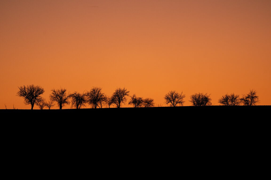 Sunset_silhouette