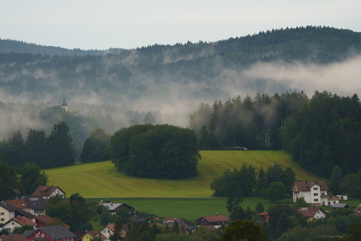 Nature near Pronfelden