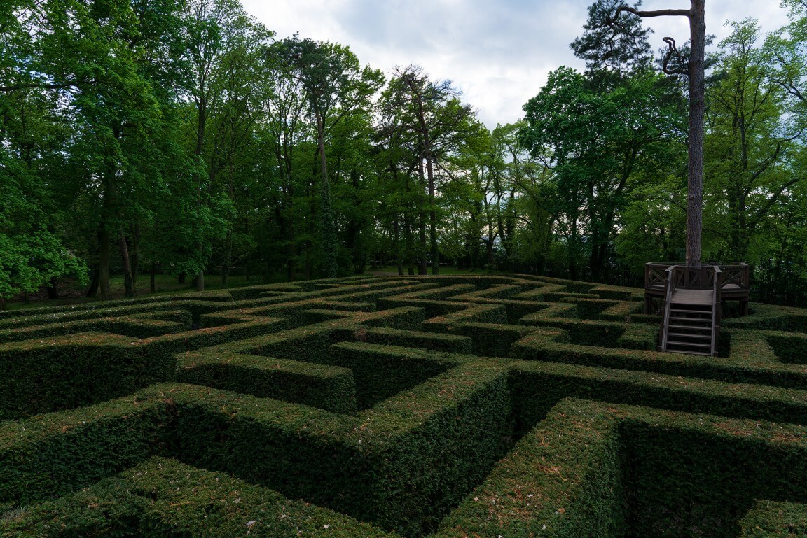 Maze in nature