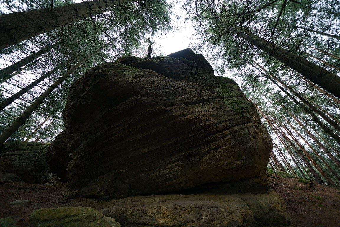giant stone in the forest